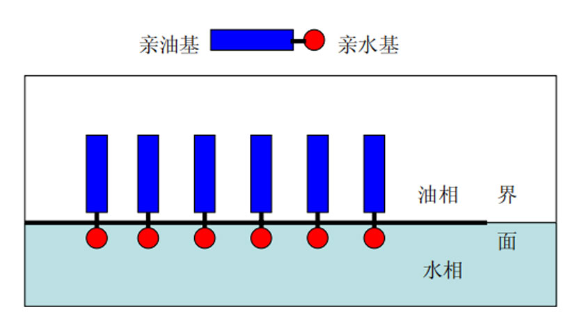 XW1 (14)